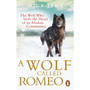 A Wolf Called Romeo - ISBN 9780753540886