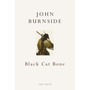 Black Cat Bone - ISBN 9780224093859