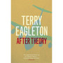 After Theory - ISBN 9780141015071