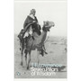 Seven Pillars of Wisdom - ISBN 9780141182766