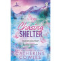 Chasing Shelter - ISBN 9781911746041