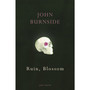Ruin, Blossom - ISBN 9781529909258