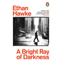 A Bright Ray of Darkness - ISBN 9781529156409
