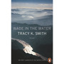 Wade in the Water - ISBN 9780141987842