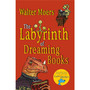 The Labyrinth of Dreaming Books - ISBN 9780099578260