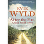 After the Fire, A Still Small Voice - ISBN 9780099535836