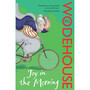 Joy in the Morning - ISBN 9780099513766