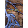 An Imaginary Life - ISBN 9780099273844