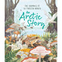 An Arctic Story - ISBN 9780753449264