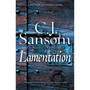 Lamentation - ISBN 9781035012336