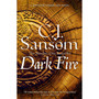 Dark Fire - ISBN 9781035012305