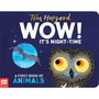 WOW! It's Night-time - ISBN 9781529098969