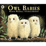 Owl babies - ISBN 9780744531671