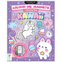 Colour-Me-Magnets Kawaii - ISBN 9781488959813