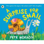 A Surprise for Snail - ISBN 9781529525502
