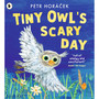 Tiny Owls Scary Day - ISBN 9781529517194
