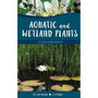 Aquatic and Wetland Plants of Southern Africa - ISBN 9781920217631