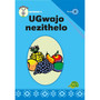 Ugwajo Nezithelo Ibanga 2 Incwadi 4 - ISBN 9781775711131