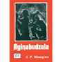 Ayinabudzala - ISBN 9780869859797