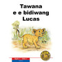 Cub Reading Scheme (Setswana) Level 1 Book 1: Tawana E Bidiwang Lucas - ISBN 9780796041715