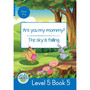 Duzi Bugs: Blue Level 5: Book 5: Are You My Mommy? | the Sky Is Falling - ISBN 9781928228912