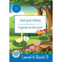 Duzi Bugs: Blue Level 6: Book 5: Dave Goes Fishing | a Goose on the Roof - ISBN 9781928228967