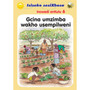 Isiseko Sesixhosa Grade R (Big Book) Gcina Umzimba Wakho … - ISBN 9780796064646