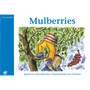 Jumbo Series Blue Reader Book 3 Mulberries - ISBN 9780796018281