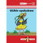 Zimnandi Iindaba Red Series: L1 B6: Ulihle Uyabukwa - ISBN 9780796059703