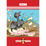 Zimnandi Iindaba Red Series: Activity Book - ISBN 9780796059635