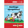 Zimnandi Iindaba Red Series: L3 B4: Sontinga Njengokhozi - ISBN 9780796059802