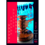 DIGITAL - N6 Public Law - ISBN 9781775812180