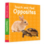 Touch and Feel Opposites - ISBN 9789353769475