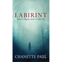 Labirint - ISBN 9780795801051