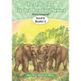 Best Books Grade 2 Home Language Graded Reader Level 8 Book 3: The life of elephants - ISBN 9781775894452