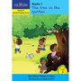 New All-In-One Grade R Graded Reading Series: Level 3 Reader 1: The tree in the garden - ISBN 9781776071241