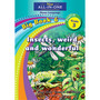 New All-In-One Grade 3 Home Language Big Book 6: Insects, weird and wonderful - ISBN 9781775892205