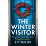 The Winter Visitor - ISBN 9781805507611