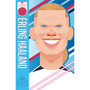 Erling Haaland - ISBN 9780702333255