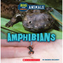 Big and Small: Amphibians (Wild World) - ISBN 9781338853476