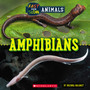 Fast and Slow: Amphibians - ISBN 9781338836479
