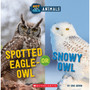 Spotted Eagle-Owl or Snowy Owl - ISBN 9781338799439