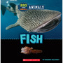 Big and Small: Fish - ISBN 9781338853544