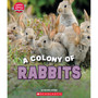 Learn About: A Colony of Rabbits - ISBN 9781338853384
