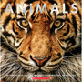 Animals: Witness Life in the Wild Featuring 100S of Species - ISBN 9781338360059