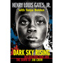 Dark Sky Rising: Reconstruction and the Dawn of Jim Crow (Scholastic Focus) - ISBN 9781338713657
