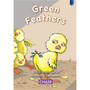 Key Links - Green Feathers: Level 11/Blue - ISBN 9780702190872