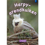 Key Links - Harpy-arendkuiken: Level 11/Blue - ISBN 9781485103608
