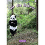 Key Links - Uit die Natuur: Levels 23-24/Silver - ISBN 9781485112150