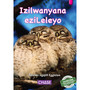Key Links - Izilwanyana eziLeleyo (Sleeping Animals): Level 01/Magenta - ISBN 9781928531845